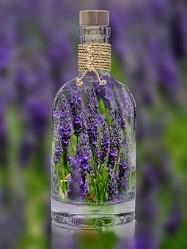 Lavendel in der Flasche