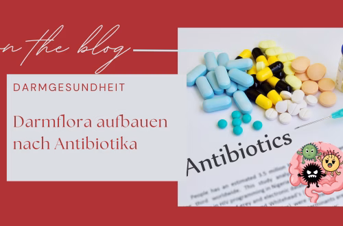 Darmflora aufbauen nach Antibiotika