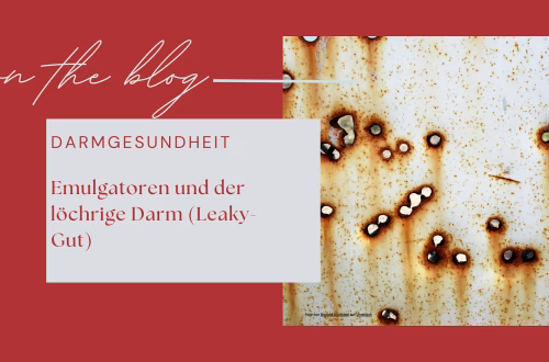 Darmgesundheit Emulgatoren und der löchrige Darm (Leaky-Gut)