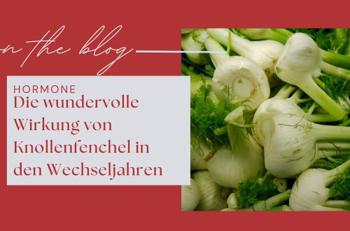 Knollenfenchel Wechseljahre