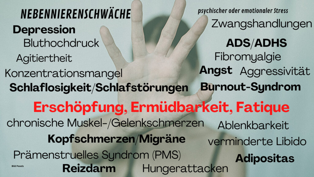 Diagnose und Therapie der Nebennierenschwäche