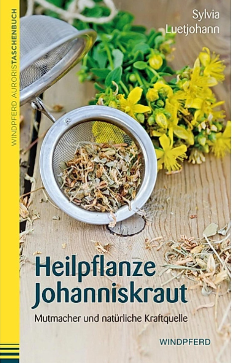 Heilpflanze Johanniskraut