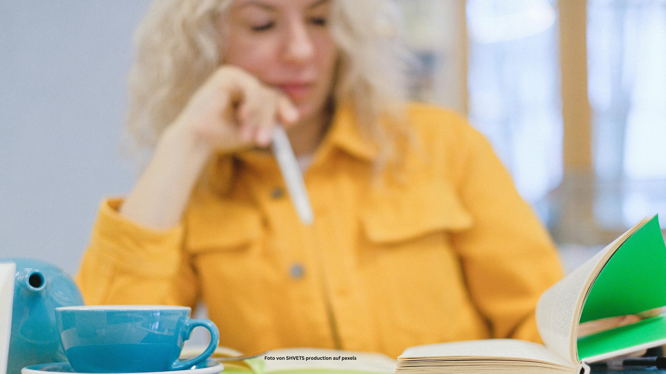 Aktivbuch -Rezensionen der „Festival der Sinne“ Aktivbücher