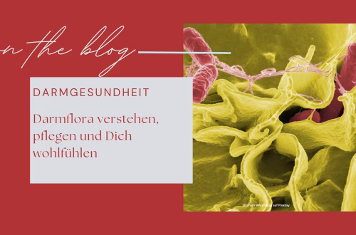 Darmflora verstehen, pflegen und Dich wohlfühlen