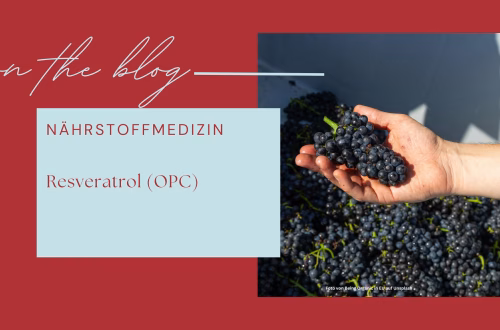 Frauenhand mit roten Trauben. Nährstoffmedizin Resveratrol (OPC)